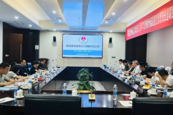 Pucheng Clean Energy Chemical Advances with Ultra-High Molecular Weight Polyethylene Project