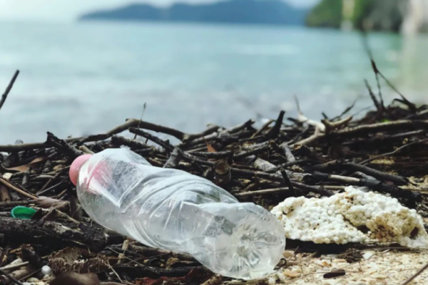 Global Plastic Pollution: An Urgent Call for Action