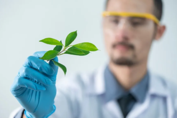 Inorganic Coatings: The New Eco-Friendly Wall Decoration Darling