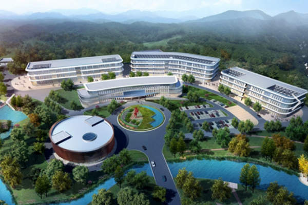 Wanhua Chemical’s Strategic Move: New Olefins Company and Advancements in High-End Polyolefins