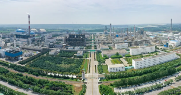Ethylene Forum 2024: Exploring High-End New Materials Opportunities