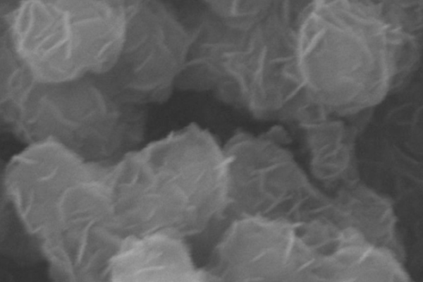 Huanuo Materials’ Innovative Zinc Oxide-Coated Calcium Carbonate Project Wins 2024 Yongjiang Plan Award