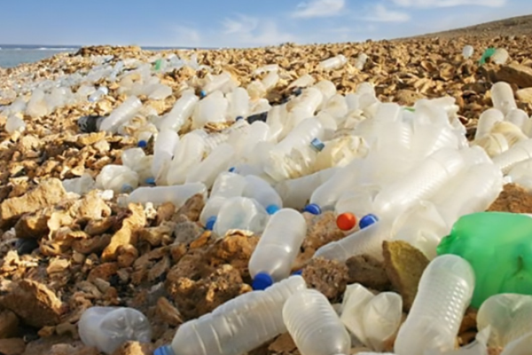 Shangrao Unveils Major Waste Plastic Processing Expansion: Jintong’s 150,000-ton Center