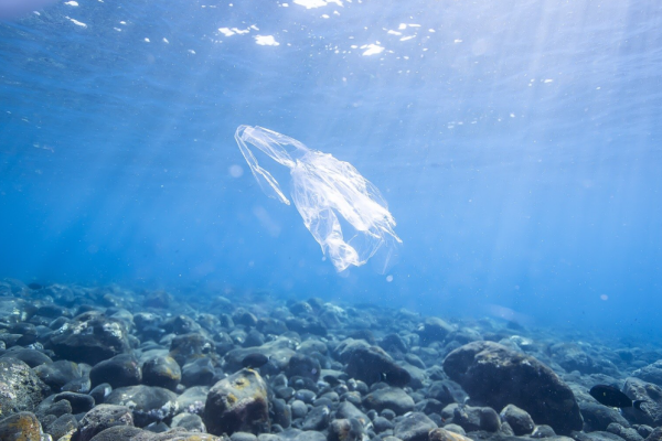Ingenuity’s Marine Plastic Processing Expansion in Ganyu District, Lianyungang Gains Environmental Approval