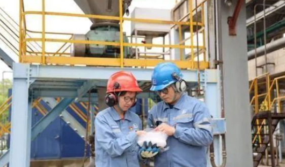 SPC Drives Polypropylene Foam into Mid-to-High-End Market with Innovative Strategies