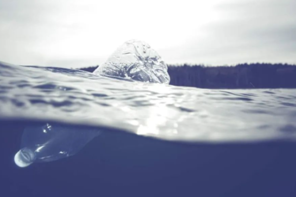 Extended Producer Responsibility: A Global Strategy to Combat Plastic Pollution