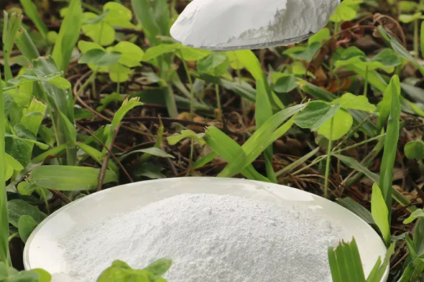 Calcium Carbonate: A Versatile Inorganic Compound Driving Environmental Protection