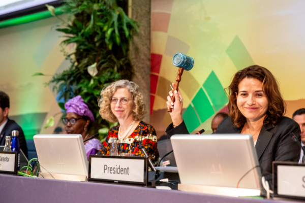Plastic Pollution Treaty Negotiations: Tensions Rise as US Stance Shifts