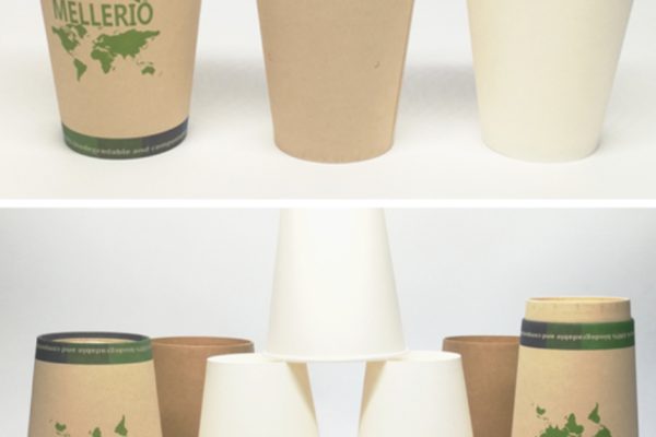 Revolutionizing Packaging: The Rise of PHA Laminated Paper Products