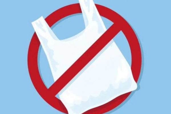 Pulp Molding Industry Faces Export Hurdles and Policy Stagnation Amid Global Shifts