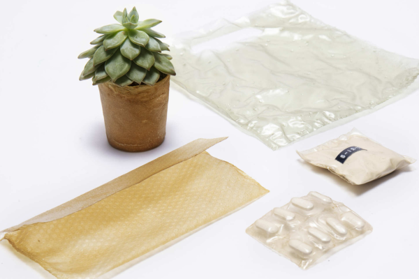 From Crayfish to Cosmetics: Shellworks’ Journey to Sustainable Packaging