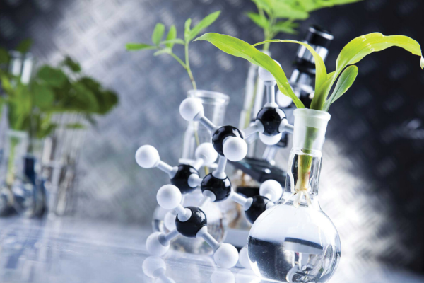 Bioplastics: A Rising Star in the Plastic Industry