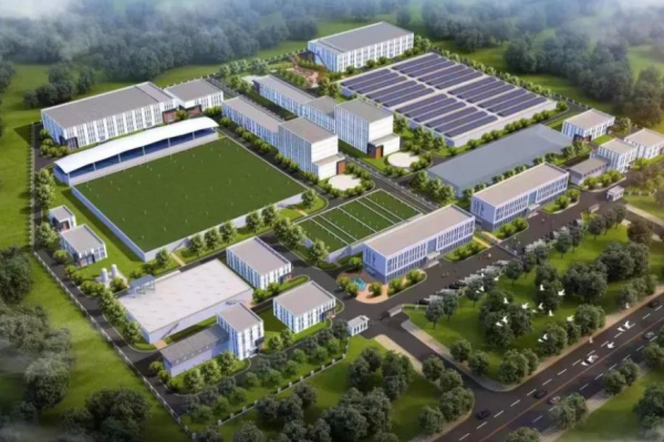 Strategic Alliance: Petrochemie Gruppe Establishes High-End Coatings Base in Huizhou