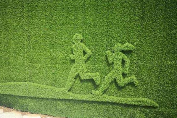 Innovative Plastic Grass: Durable, Easy to Maintain, and Aesthetically Pleasing