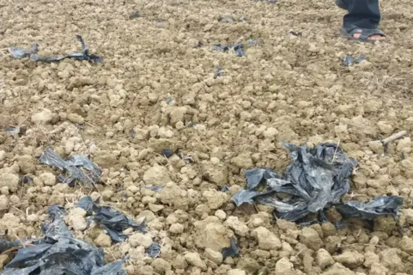 Sinopec’s CPWP Technology: Revolutionizing Plastic Recycling