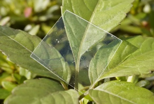 Revolutionary Plastic Decomposes in Seawater, Offers Pollution Solution