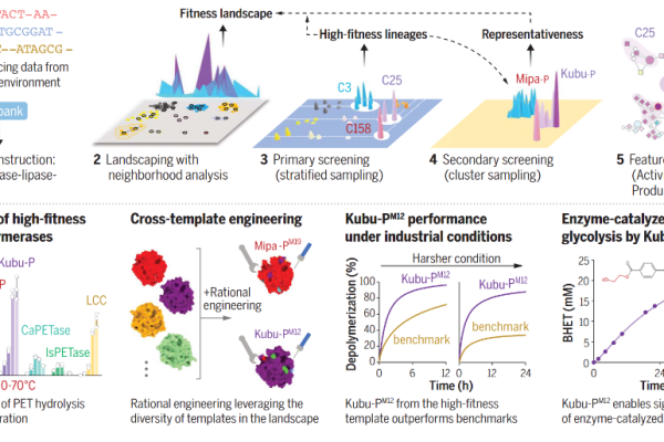 Revolutionary PET Biocatalyst Developed by Kyungpook National University and CJ CheilJedang