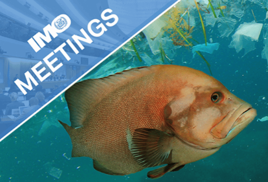 Global Maritime Reps Agree on 2025 Action Plan to Combat Marine Plastic Litter