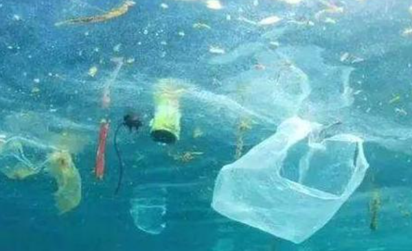 Transforming India’s Plastic Industry: New Policies and Opportunities
