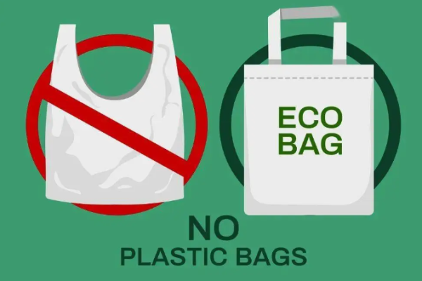 Microplastics in Our Lives: A New Threat to Hair Health?