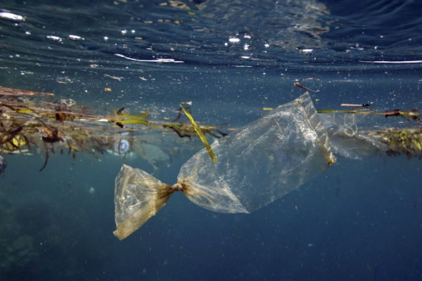 Challenges Arise in Bid to Eradicate Pacific Plastic Waste