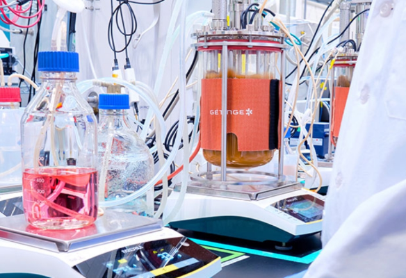 Bio-Based Nylon Gets a Boost as lululemon Teams Up with ZymoChem for Sustainable Fashion