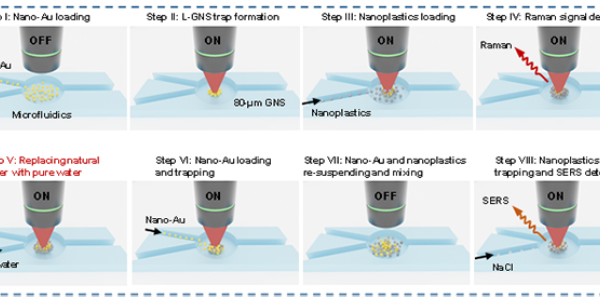 Interdisciplinary Team from Ocean University Unlocks Nanoplastics Detection Puzzle