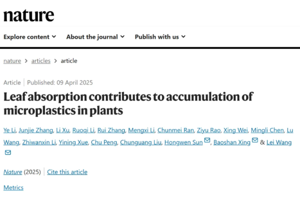 New Discovery: Leaf Absorption’s Role in Microplastic Accumulation in Plants