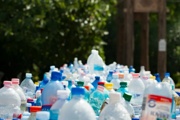 The Link Between Takeout – Associated Microplastics and Cardiovascular Diseases