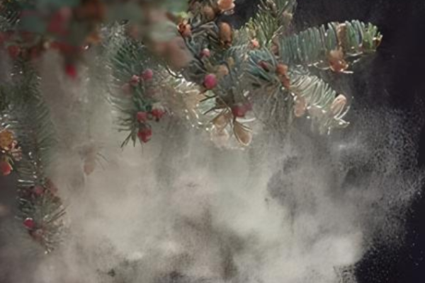 Wuhan Researchers’ Pollen – Centric Innovations Offer Hope for Plastic Pollution