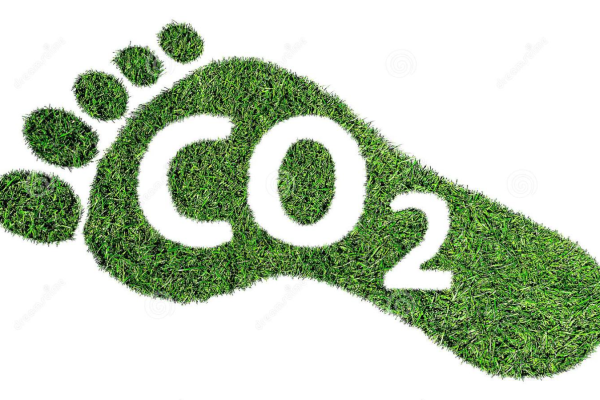 Amcor’s New Liquiflex AmPrima Pouch: Cost – Saving and Eco – Friendly for Europe