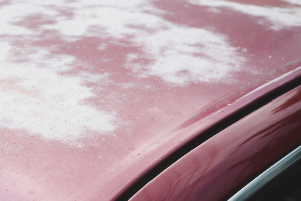 When Your Car’s Paint Fades: Risks, Reasons, and Remedies