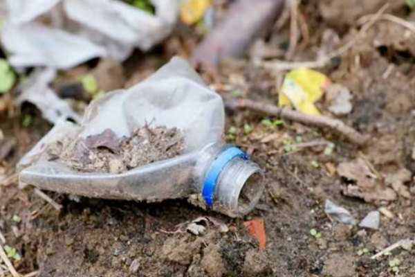 Soil Crisis: Fungal Solution Emerges Against Microplastic Pollution