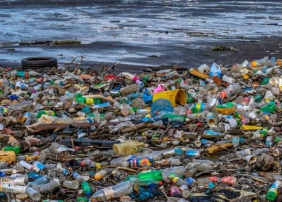 Recycled Content Crackdown: Beverage Giants Face Hefty Fines in Washington’s Green Push