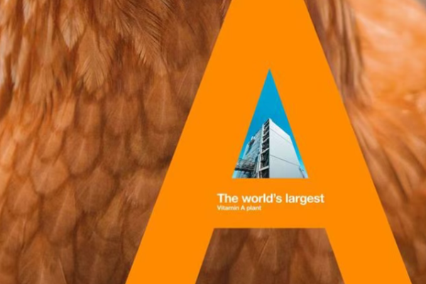 From Shortage to Stability: The New Era of Global Vitamin A Supply